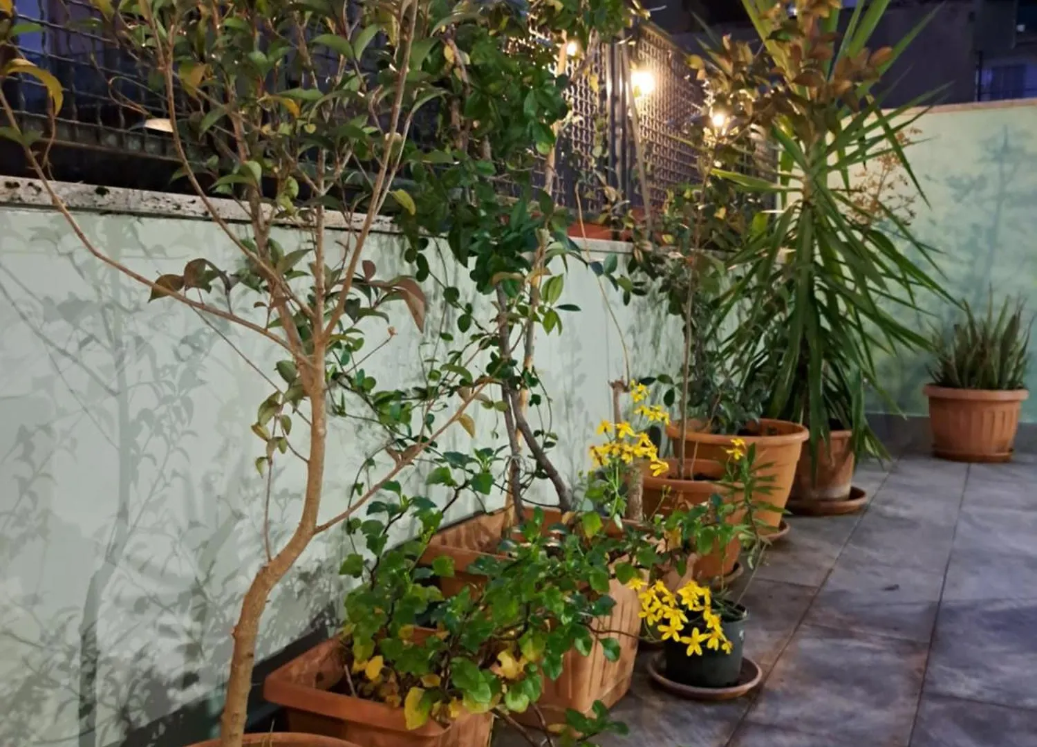 Appartamento Prenestina 74 Rome Apartment